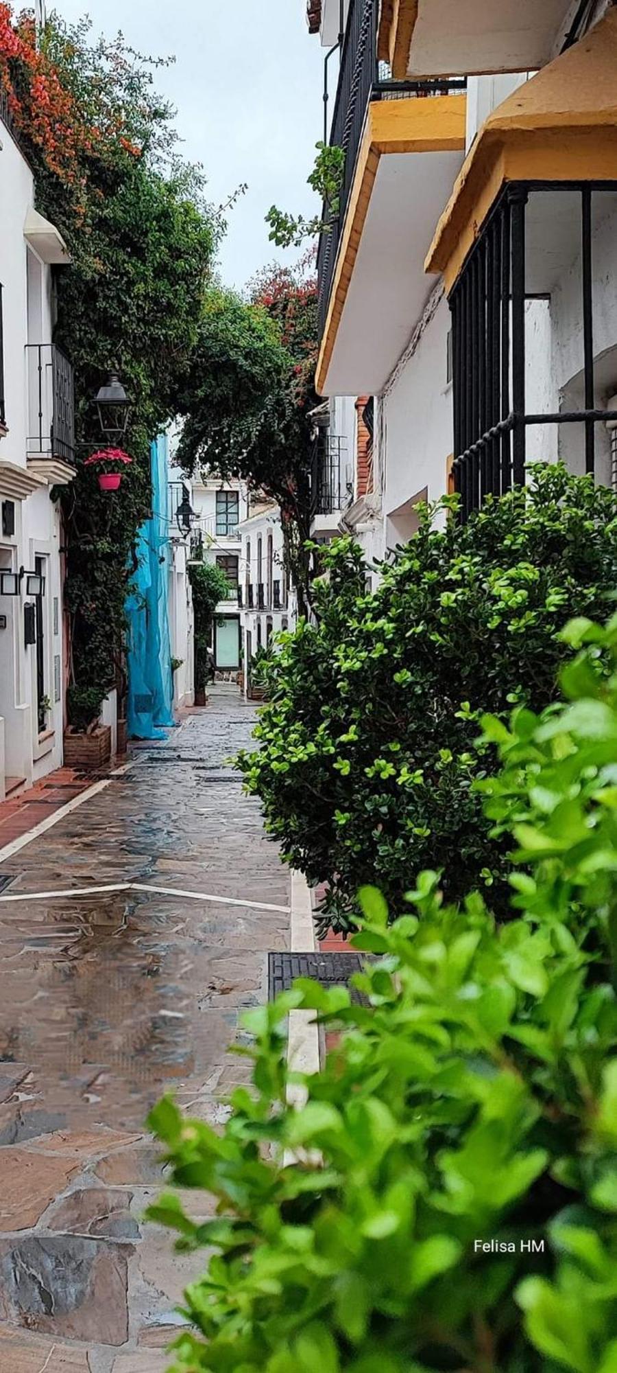 Cozy 2-Bed 2-Bathroom Apartment In Marbella Town Centre Exterior foto